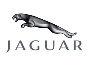 jaguar differential